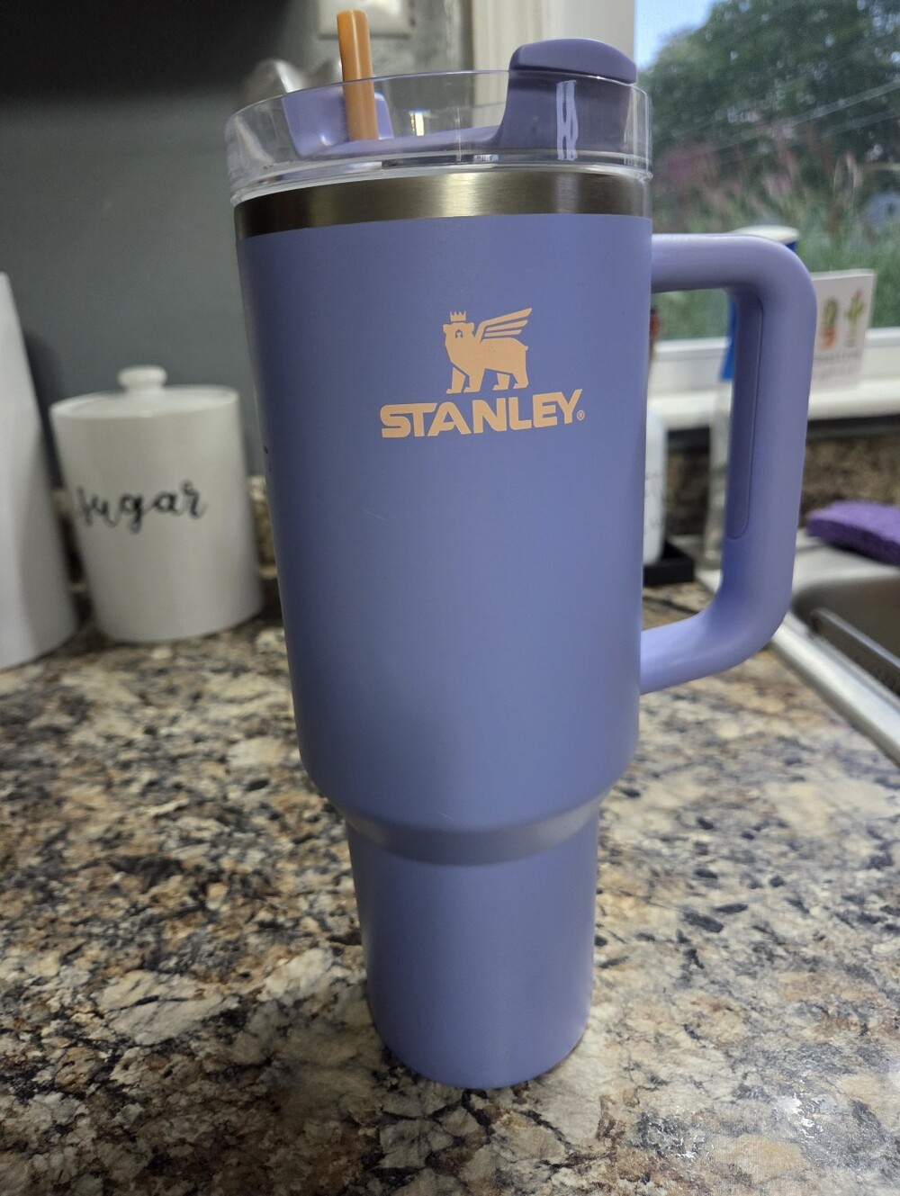 Stanley Purple Tumbler 40 oz Mug with Handle and Straw hydrangea